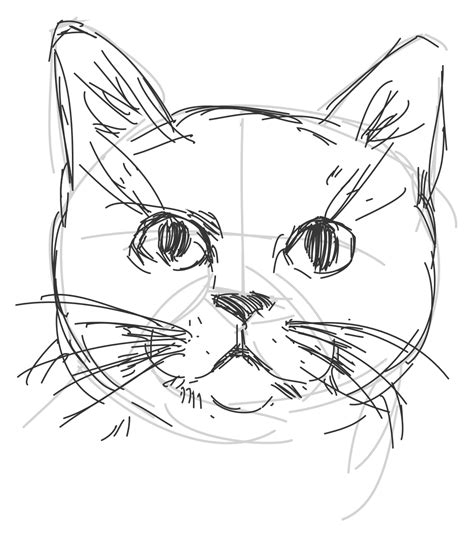 Learn how to draw a cat easily with this simple guide that shows you how to sketch the head, face, legs, body, tail and details. You can also add color, background and accessories to make your cat unique and cute.